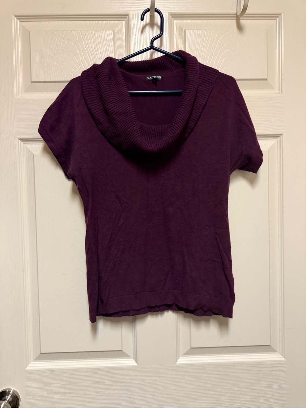 Express Plum Short-Sleeve Cowl Neck Sweater